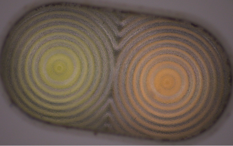 深圳市模具廠(chǎng)-深模-二次元下的手機(jī)閃光燈罩